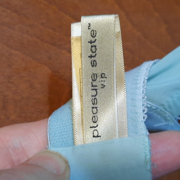 Pleasure state BRA - Picture 4 of 6